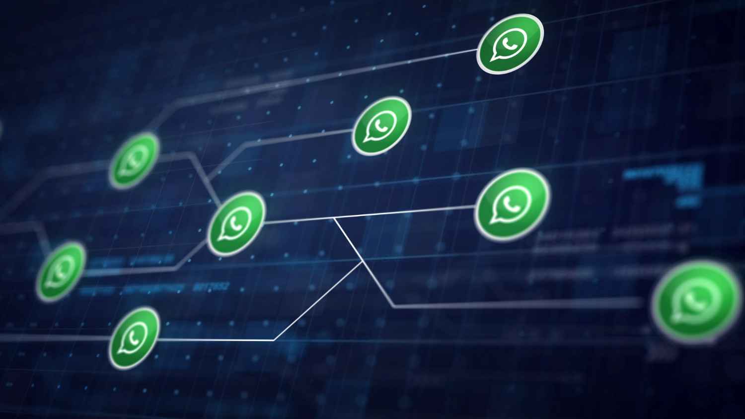 SMM Whatsapp Bussines