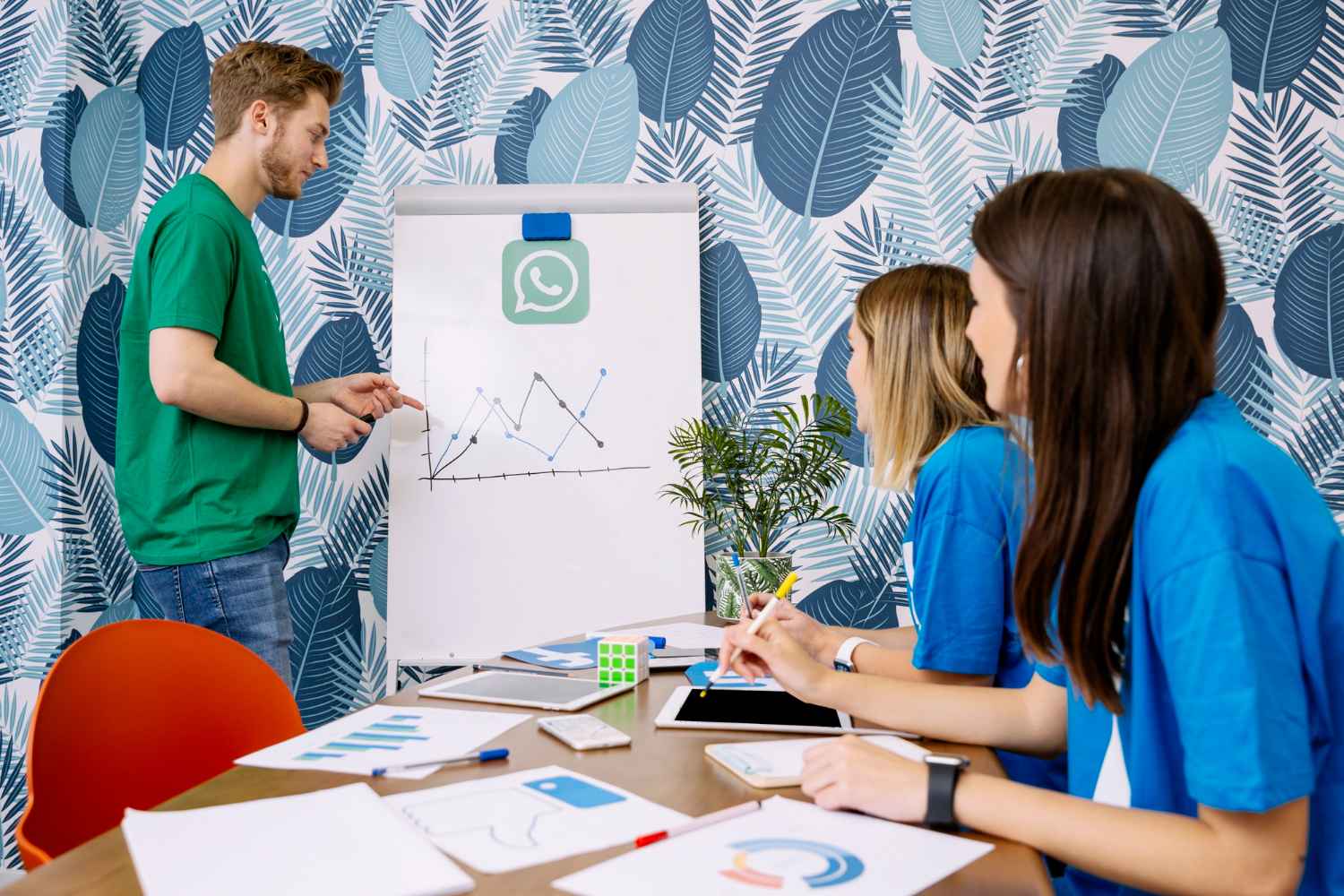 Campaña SMM en Whatsapp bussines